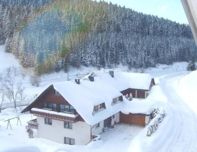 Ferienwohnung-Nr-1 Vöhrenbach エクステリア 写真
